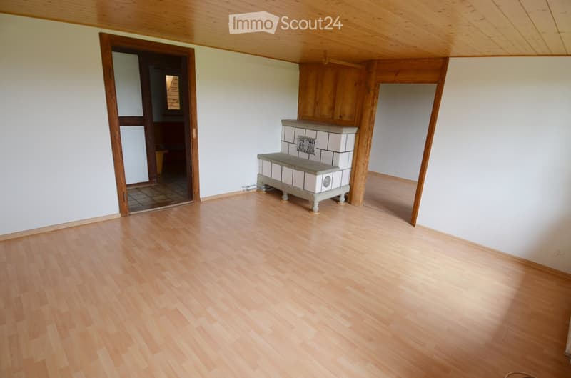 empty room, wooden floor, white walls, fireplace, door, window