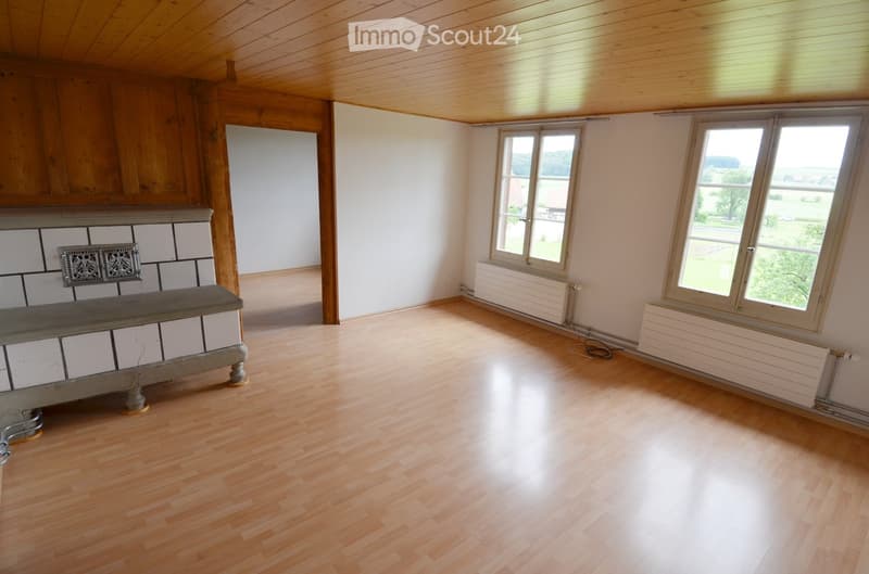 empty room, wooden floor, white walls, wooden ceiling, fireplace, windows