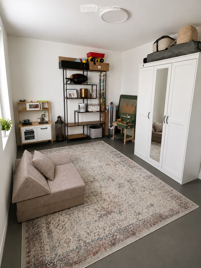 A modern, well-furnished living room with a sofa, patterned rug, shelves, a small kitchenette, and a mirror cabinet. The space is bright and organized, with various decorative items and storage solutions.