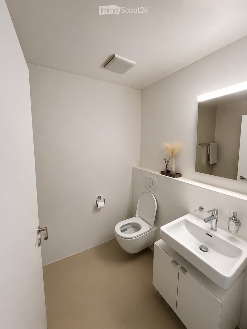 Modern, minimalist bathroom with white walls, a sink, toilet, mirror, and decorative items on a shelf.