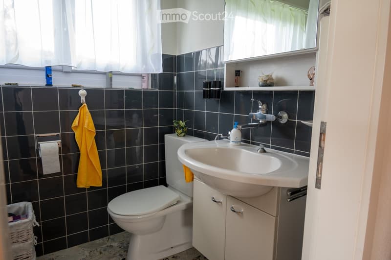 Bathroom with dark blue tiles, white toilet, sink, and cabinet. Includes a yellow towel, small plant, and mirror above the sink.