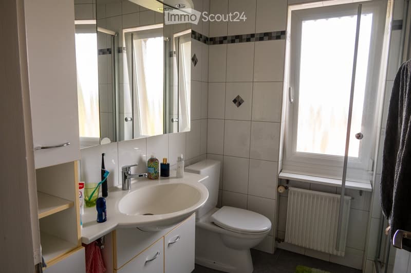 Bathroom with a white sink, faucet, toilet, mirror, and various toiletries on the counter. A window provides natural light, and a radiator is visible on the wall.
