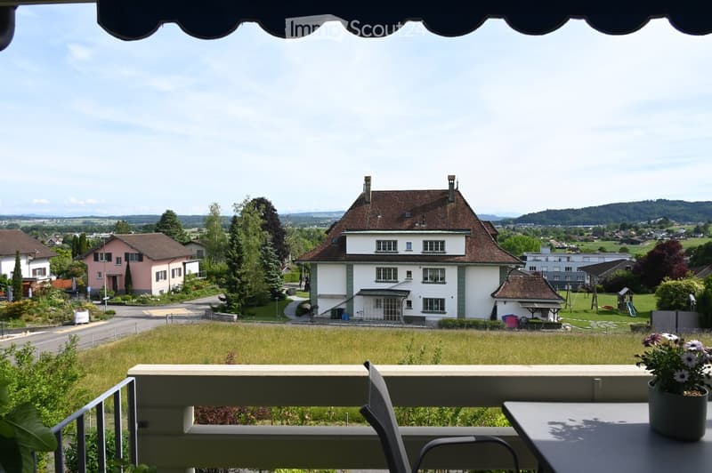 Balcony with a view of a suburban neighborhood, featuring a table, chairs, and a flower pot.