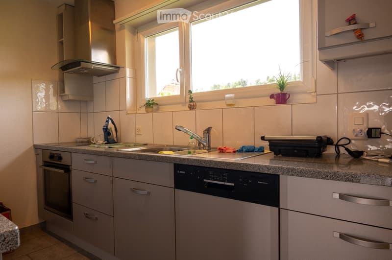 Modern kitchen with grey cabinets, granite countertop, stainless steel appliances, and a window with potted plants on the sill.