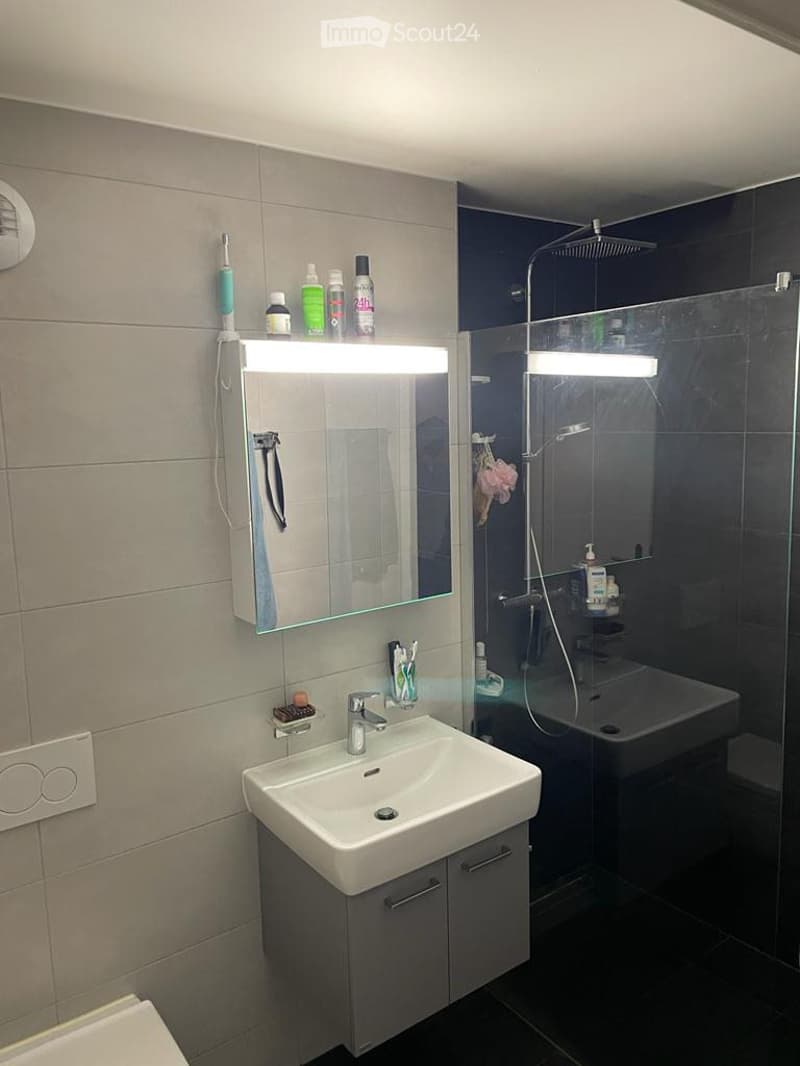Modern bathroom with a white sink, mirror with built-in lighting, and a glass-enclosed shower area. Cosmetic bottles and a toothbrush holder are visible on the sink counter.