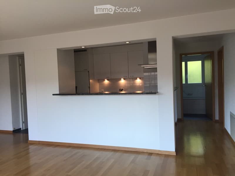 Open-plan corridor with a modern kitchen area featuring grey cabinets, a countertop, and built-in appliances. The floor is wooden, and the walls are white.