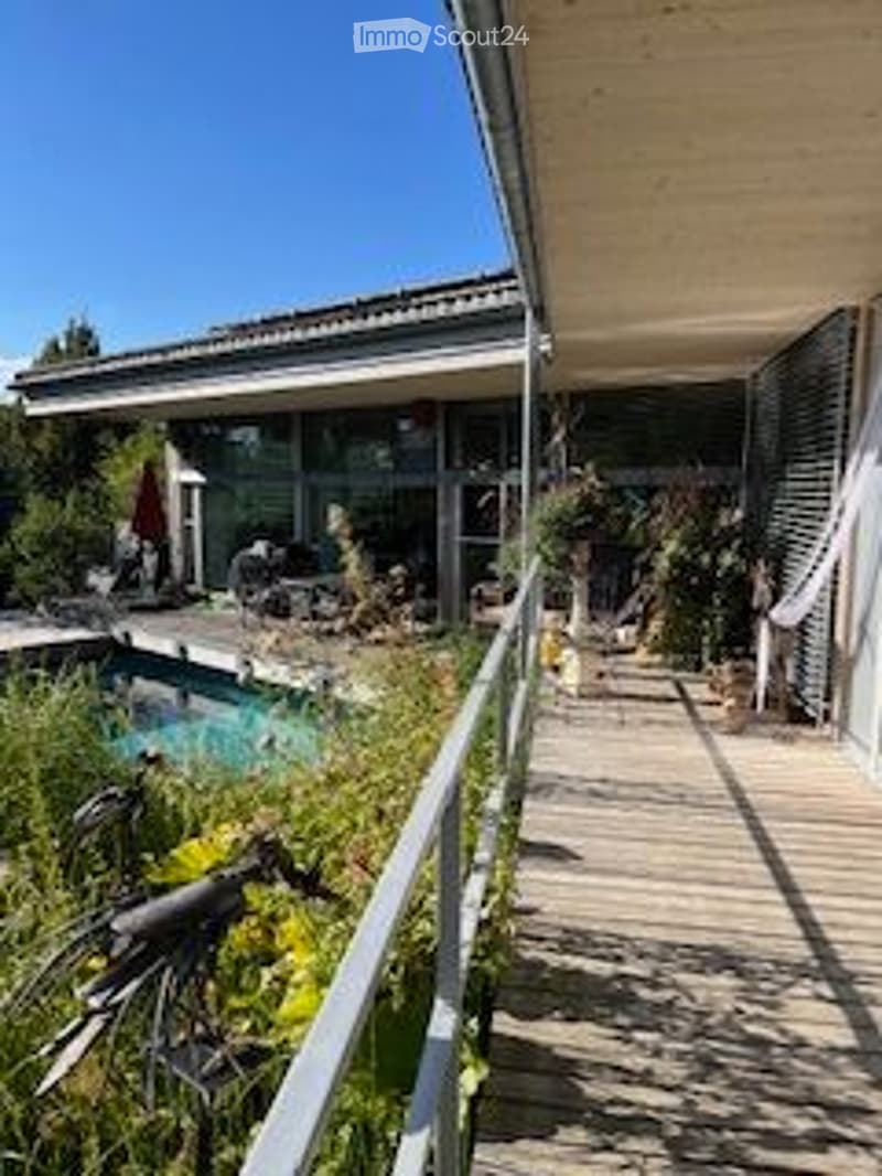 Outdoor area with a swimming pool, wooden decking, and greenery, featuring a modern building in the background.