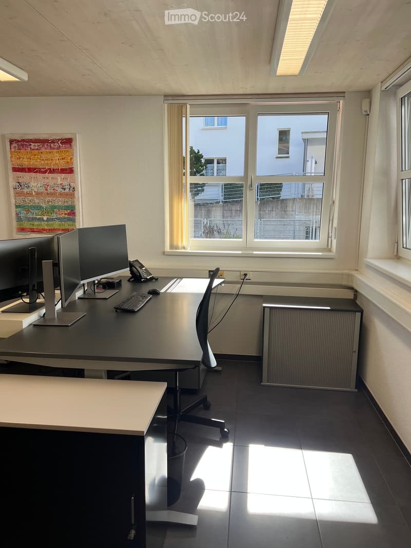 Office space with a desk, two computer monitors, keyboard, mouse, telephone, and a chair. Large windows provide natural light, and a radiator is visible on the wall.