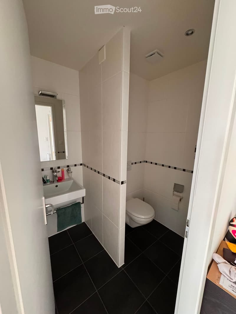 Modern bathroom with white tiles, black tiled floor, sink, mirror, and toilet. Features a towel hanging on a rack.