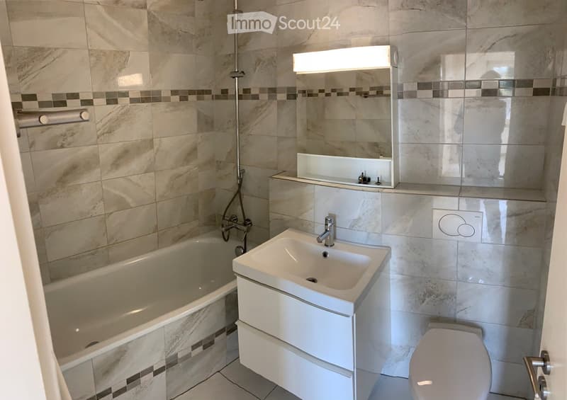 modern bathroom with bathtub, vanity, toilet, shower