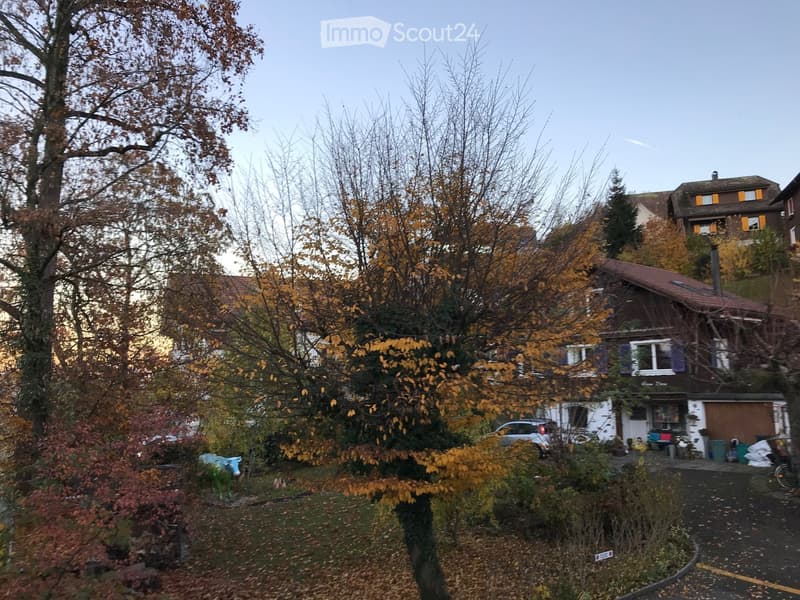 A two-story house with a red-tiled roof, surrounded by autumn foliage and trees. The house features multiple windows and a visible garage. The yard includes a small sculpture and a parked car.