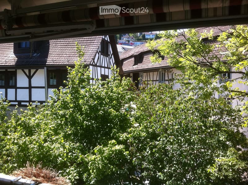 Traditional half-timbered houses with pitched roofs, surrounded by lush green foliage and trees.