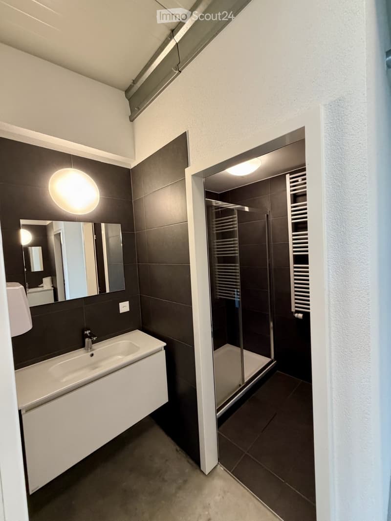Modern bathroom with dark tiled walls, white sink, large mirror, glass shower enclosure, and built-in radiator.