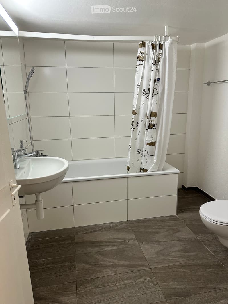 Modern bathroom with a bathtub, sink, toilet, and shower curtain featuring an owl design. The walls are tiled in light gray, and the floor is made of dark wood.