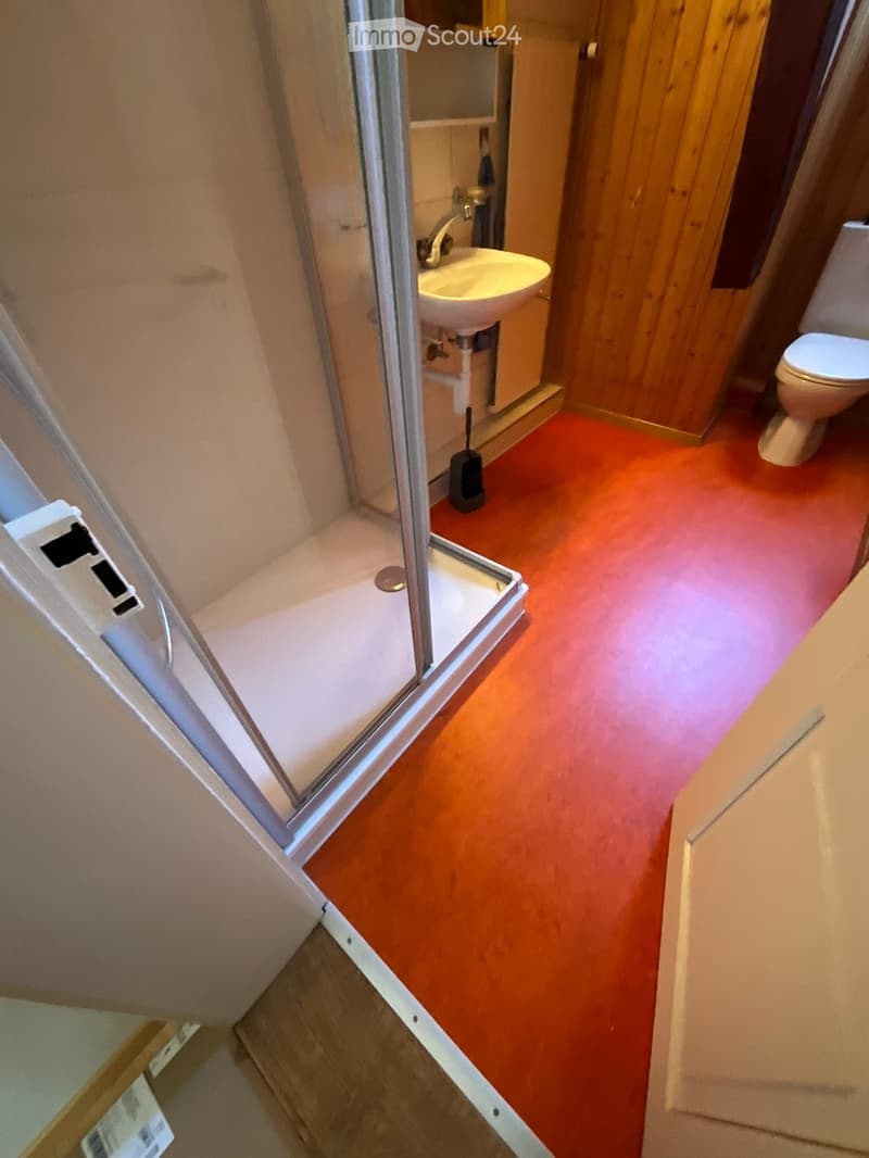 Compact bathroom with a red floor, a white sink, a toilet, and a glass-enclosed shower area.