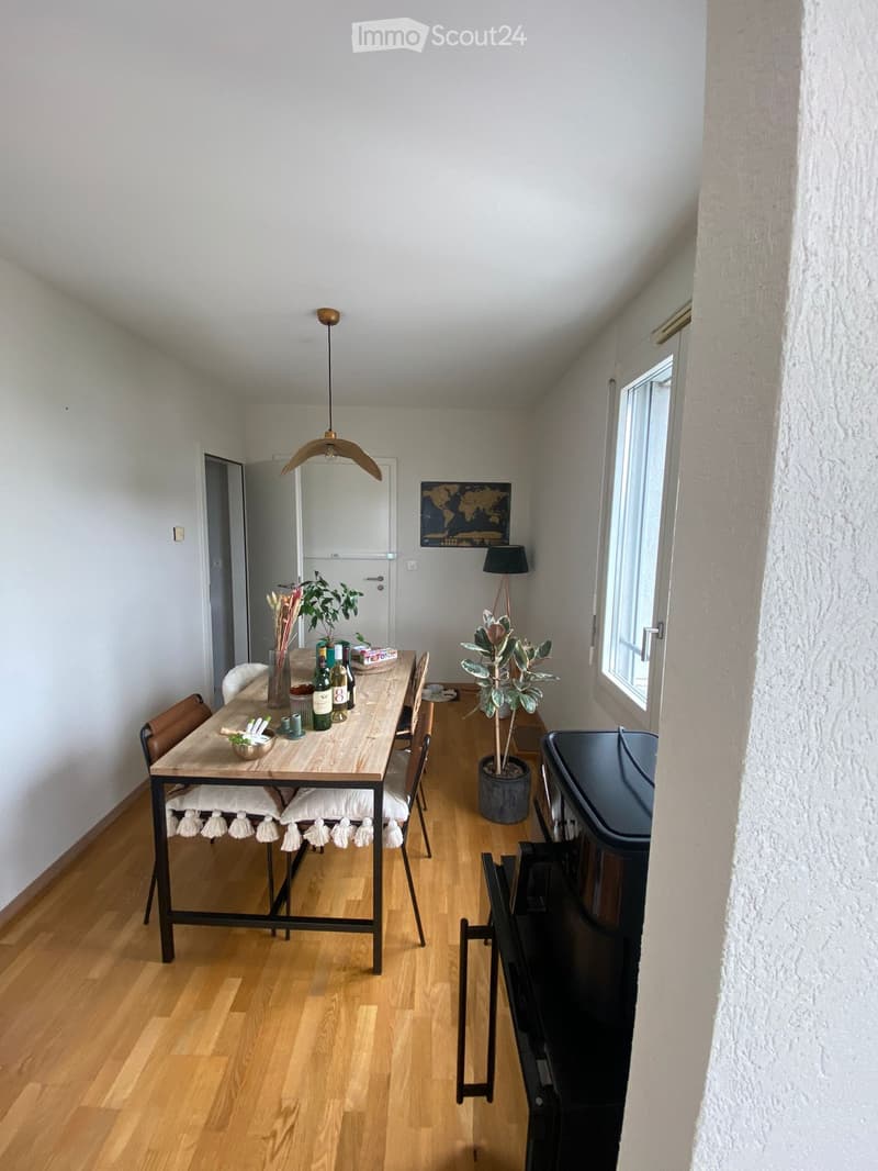 Furnished Room. Dining area with wooden table, chairs, potted plants, and decorative items on the table.