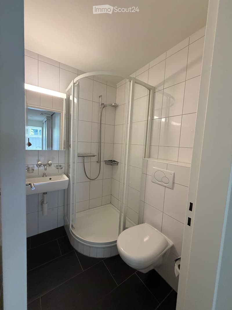 Modern bathroom with white tiles, a corner shower, a toilet, and a sink with a mirror above it.