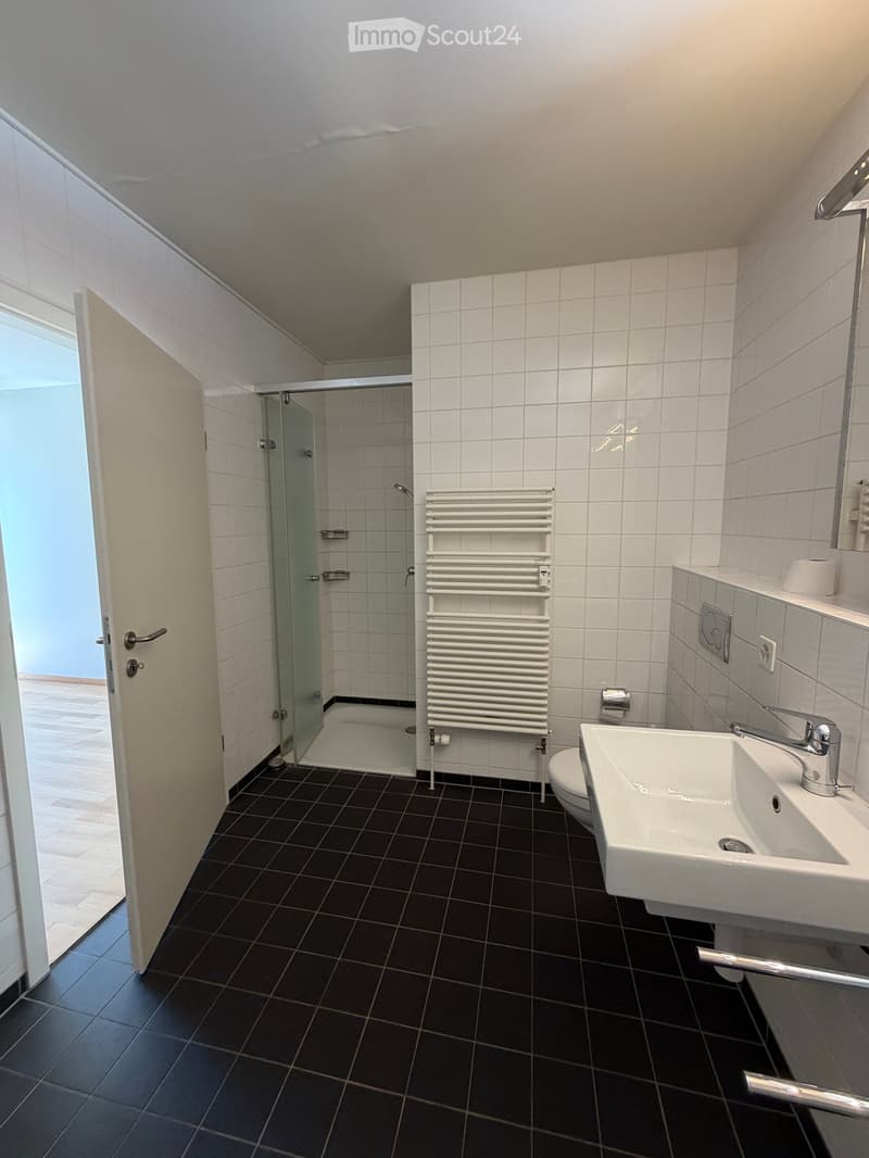 Modern bathroom with black tiled floor, white tiled walls, a white sink with a chrome faucet, a toilet, a radiator, a mirror, and a glass-enclosed shower area.