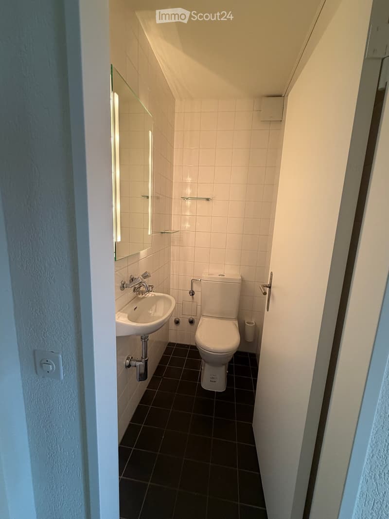 Compact bathroom with white tiles, a toilet, a sink, and a mirror. Features a dark tiled floor and modern fixtures.