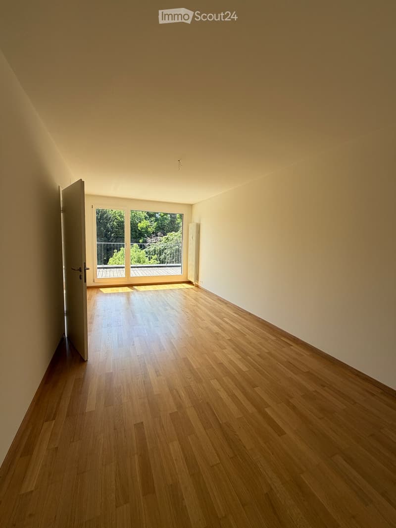 Empty room with wooden flooring, light-colored walls, and a large window leading to a balcony or terrace area.