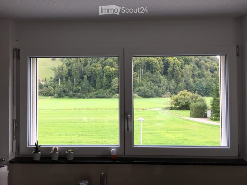 Bathroom with large windows overlooking a green field and forest, small potted plants on the windowsill, and a toilet paper roll visible.
