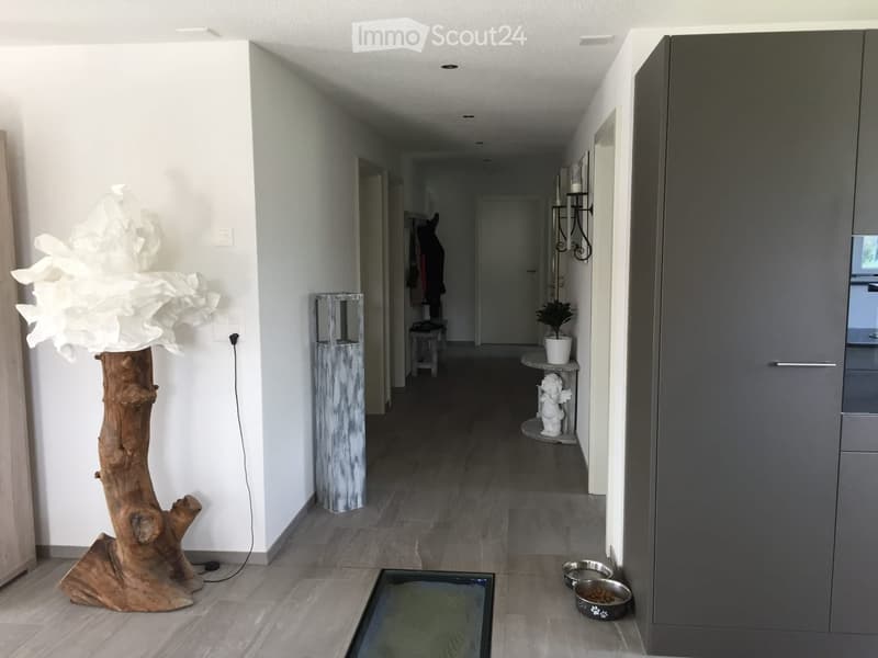 Modern hallway with white walls, wooden floor, decorative tree sculpture, small table, plant, and pet bowls.