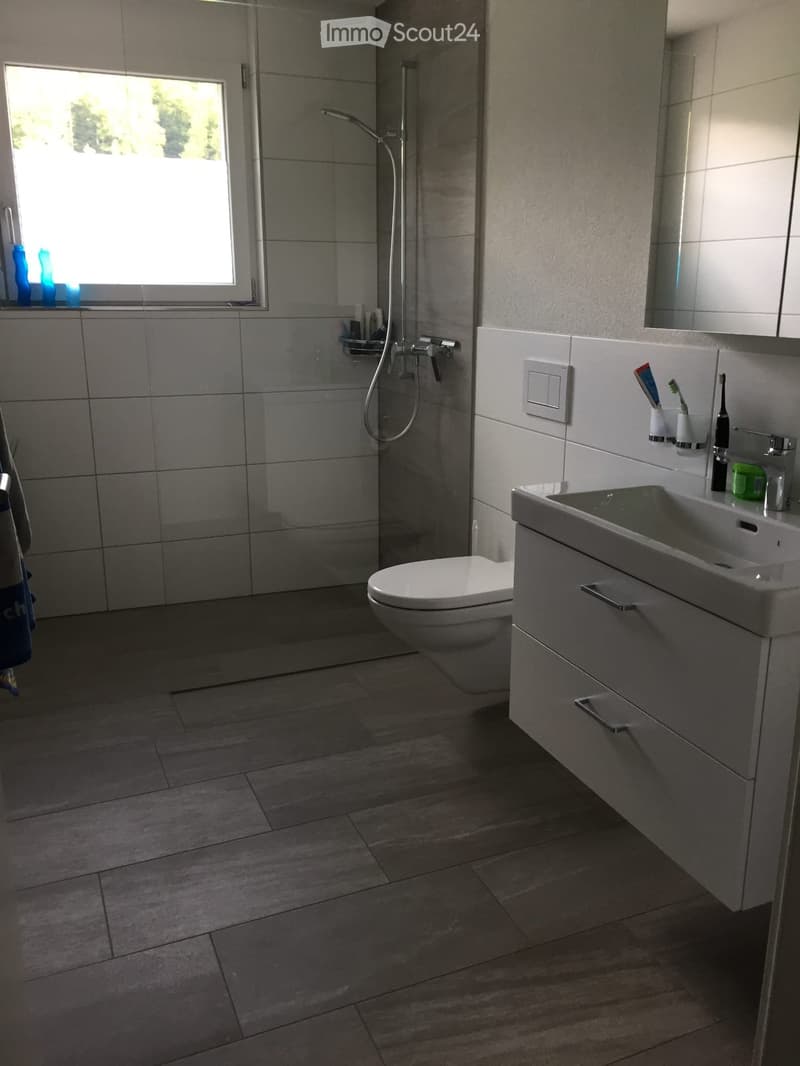 Modern bathroom with a toilet, sink, mirror, and shower. The sink has a faucet and toothbrush holder, and the shower has a handheld sprayer. The floor is tiled, and there is a window with a view of greenery.