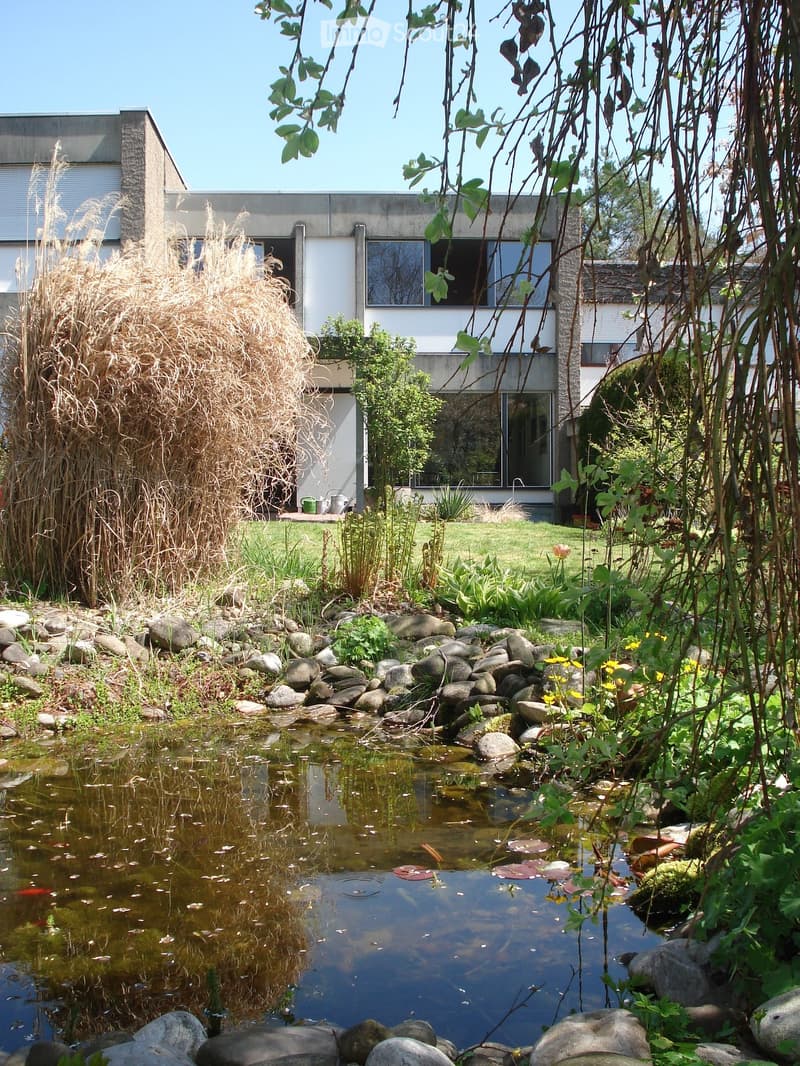 Garden with a pond surrounded by rocks, plants, and trees, with a modern house in the background.