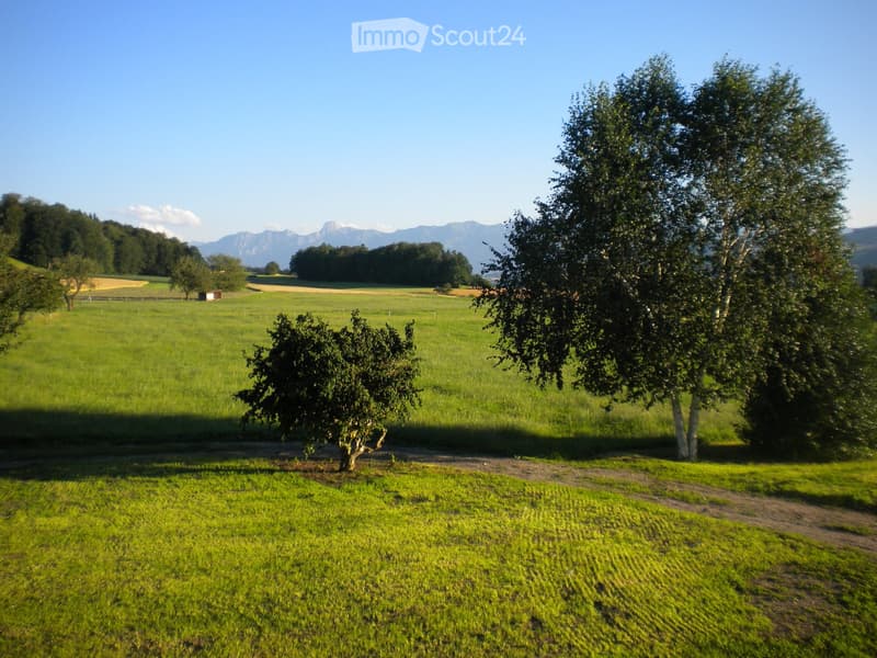 Garden / Outdoor Area. A peaceful green meadow with scattered trees, a dirt path, and distant mountains under a clear blue sky.