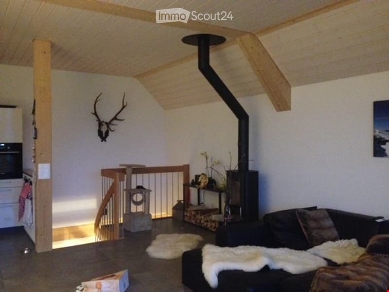 Furnished Room. Cozy living room with exposed wooden beams, a black fireplace, a cat tree, a sofa with a fur throw, and a kitchen area visible in the background.