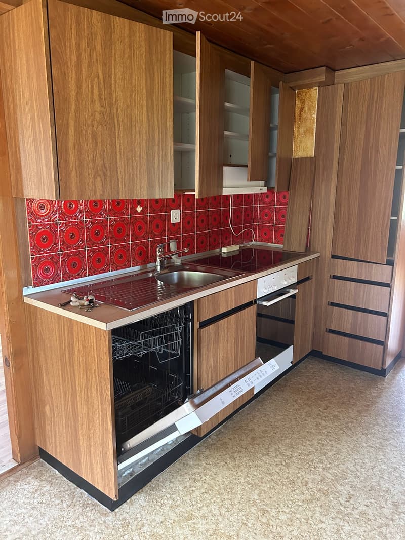 Modern kitchen with wooden cabinets, stainless steel sink, dishwasher, and oven. Red tiled backsplash with circular patterns.