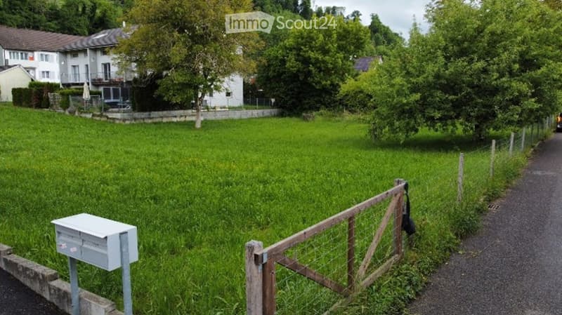 A grassy field with a wooden gate, mailbox, and surrounding trees and houses in the background.