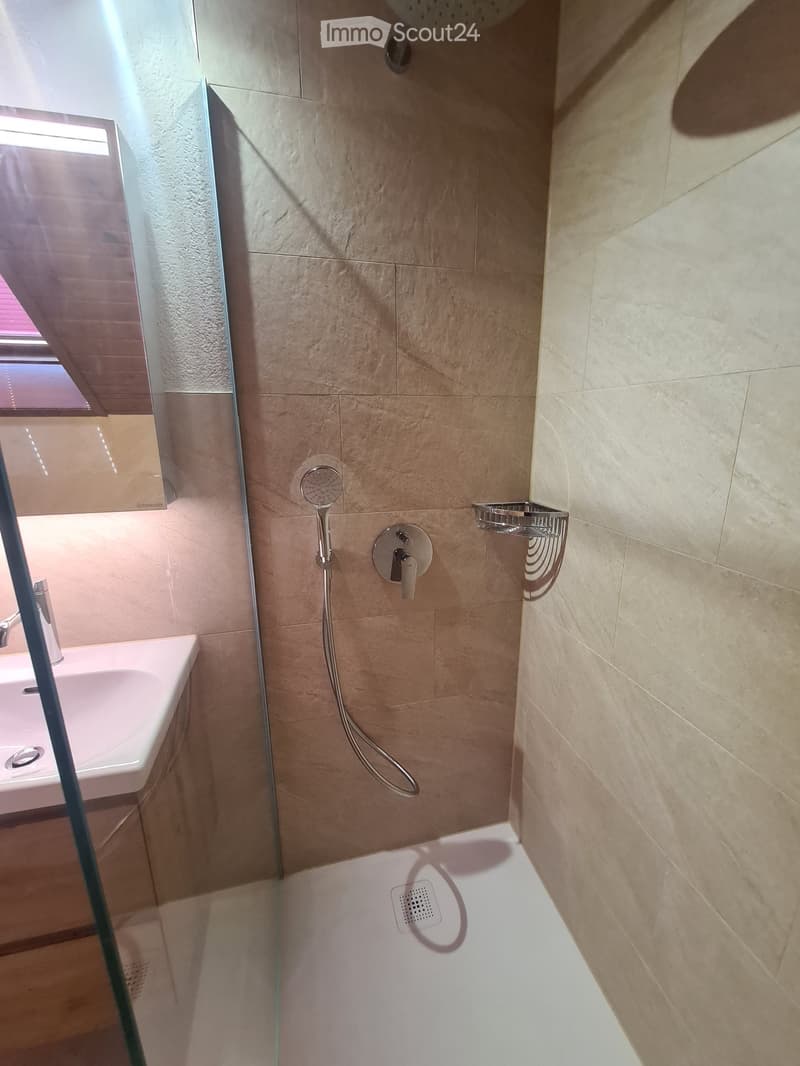 Modern bathroom with a glass-enclosed shower area, a handheld showerhead, a bathtub, and a sleek faucet.