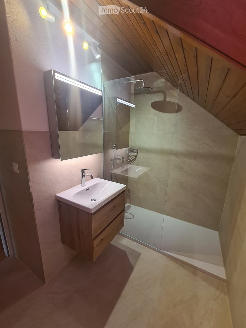 Modern bathroom with a white sink, wooden cabinet, large mirror, glass-enclosed shower, and sleek fixtures.