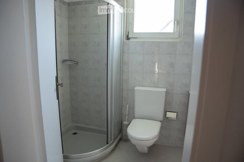 Modern bathroom with a white toilet, a glass-enclosed shower, and tiled walls.