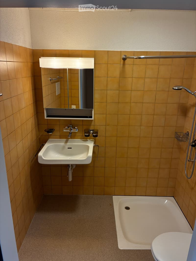 Modern bathroom with a white sink, bathtub, and toilet. Features a built-in mirror cabinet above the sink and a showerhead on the wall.