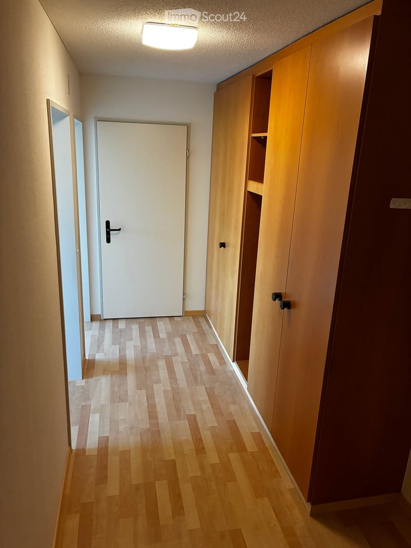 A narrow hallway with wooden flooring, white walls, and a built-in wooden cabinet on one side. A closed white door is visible at the end of the hallway.