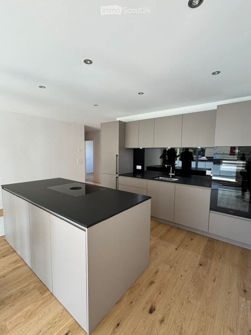 Modern kitchen with light grey cabinets, black countertop island, wooden flooring, and stainless steel appliances.