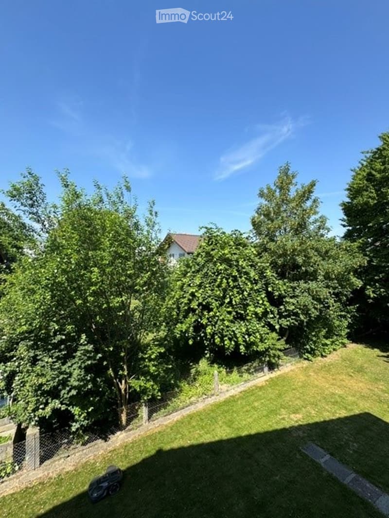 Lush green garden with trees, grass, and a small fence, with a house visible in the background under a clear blue sky.