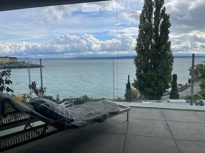 outdoor lounge area with a chaise longue, pillow, and a view of the sea and a tree