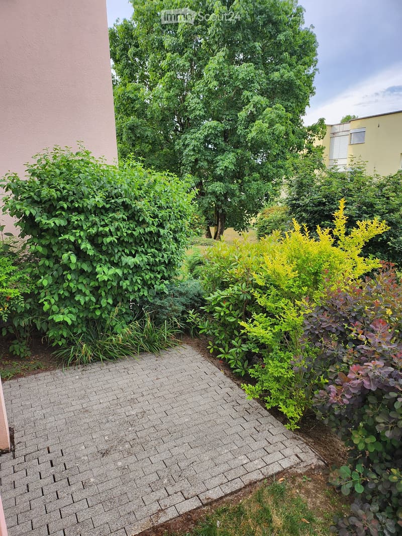 A well-maintained garden area with a paved pathway, surrounded by various green plants and shrubs, with a building visible on the left side.