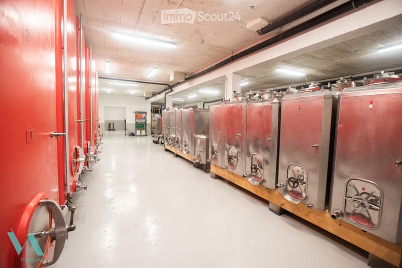 A clean, industrial-style room with multiple stainless steel wine tanks lined up against the walls, featuring large red doors and various pipes and valves.