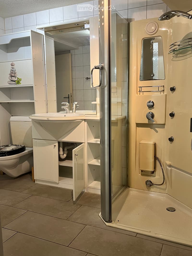 Modern bathroom with a white sink, toilet, and a walk-in shower with glass doors. The shower features multiple control handles and a built-in seat. A white cabinet with a decorative stone arrangement is visible on the left side.