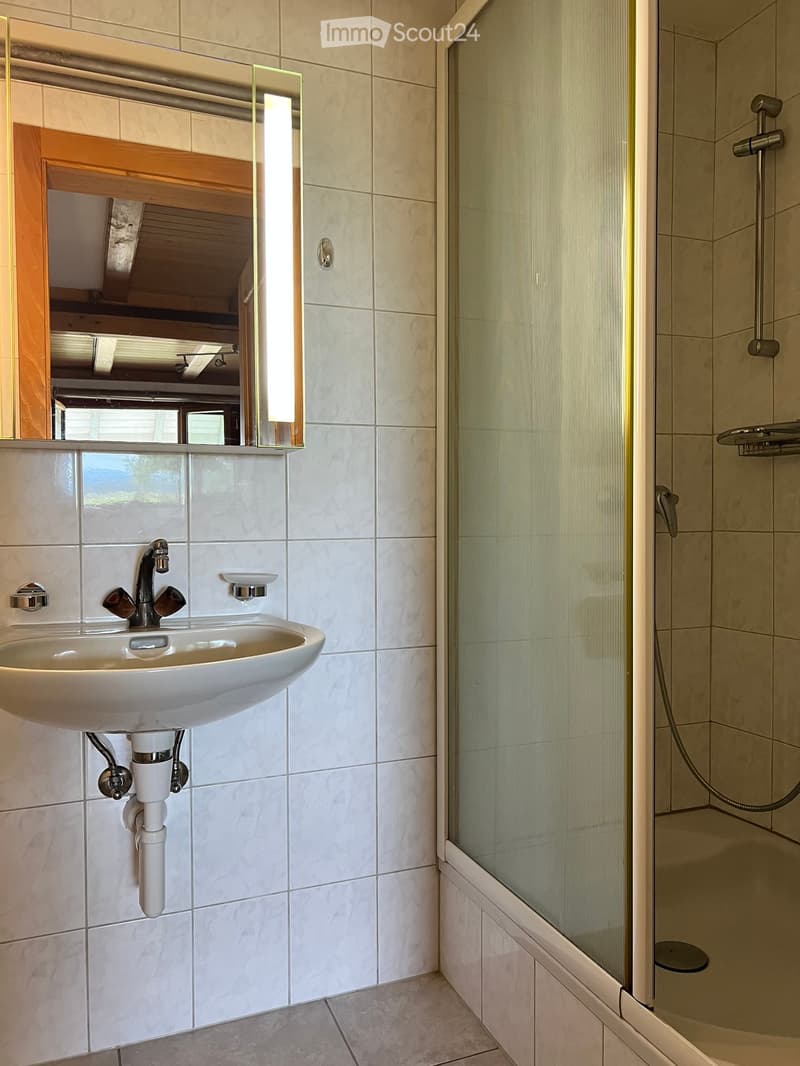 Modern bathroom with a white sink, chrome faucet, large mirror, and a glass-enclosed shower area.