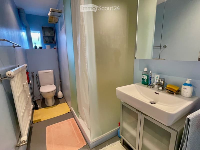 Bathroom with shower, toilet, sink, mirror, towel rack, radiator, and storage shelves