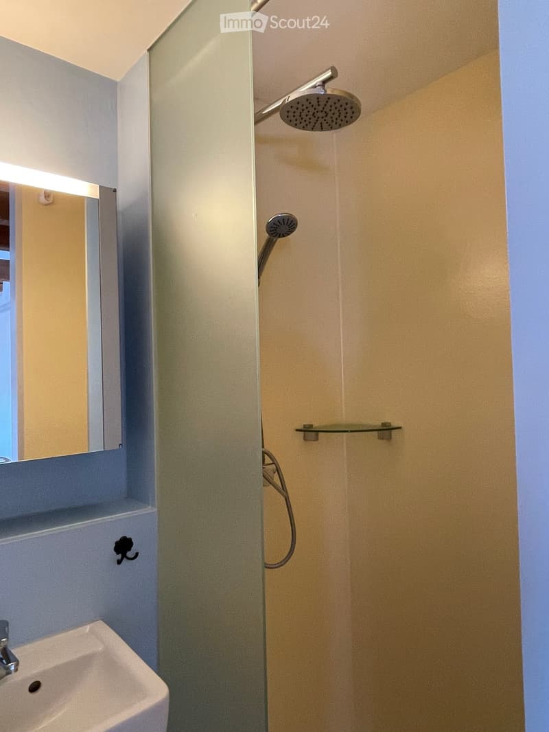 Bathroom with a glass shower enclosure, a white sink, a mirror, and a shower head.