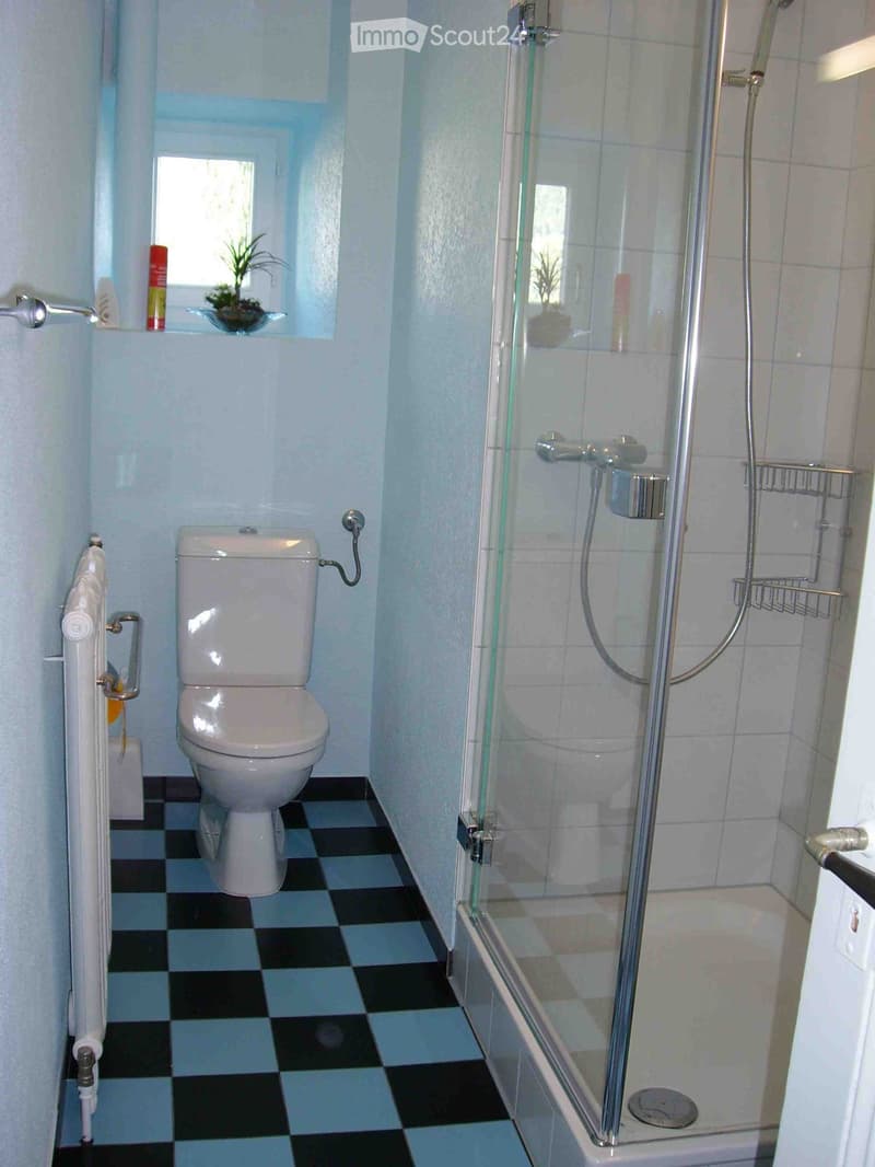 white toilet, glass shower enclosure, white tiles, blue and black checkered floor, small window with plant