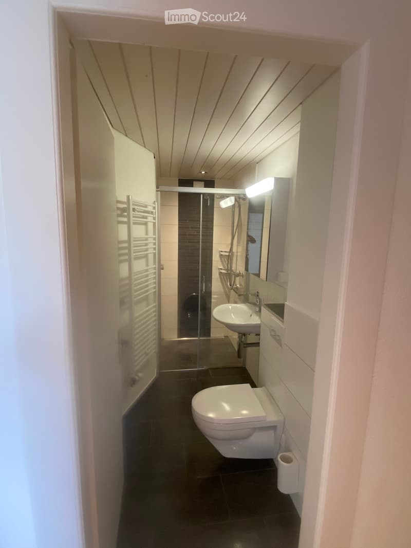 Modern bathroom with dark tiled floor, white toilet, sink, mirror, and glass-enclosed shower area.