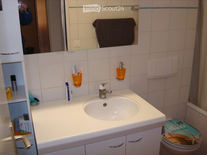 Appartement 3.5 pièces avec balcon et réduit. (8)