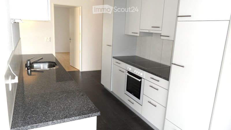 Kitchen. Modern kitchen with white cabinets, granite countertop, stainless steel sink, and built-in oven.